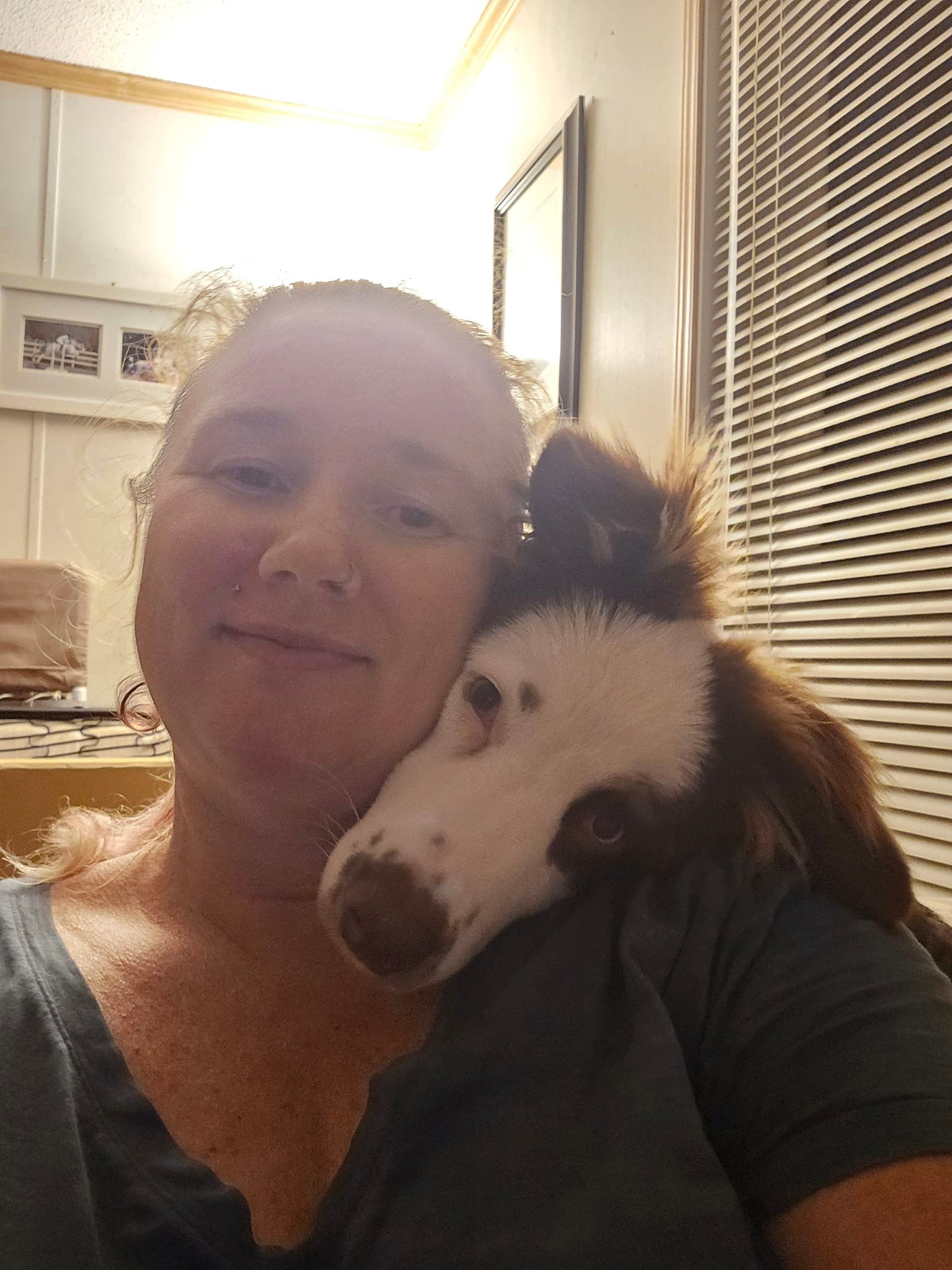 Past puppy